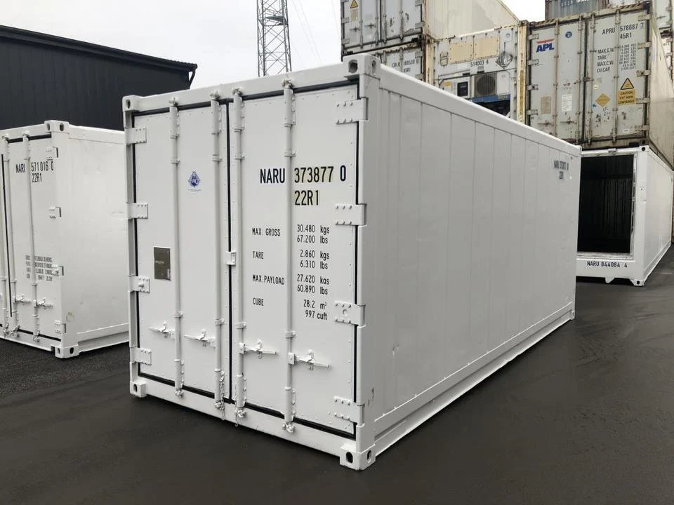 Kontener chłodniczy Thermo King 20 stóp
