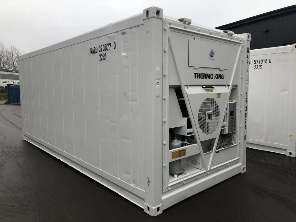 Kontener chłodniczy Thermo King 20 stóp - obrazek 3