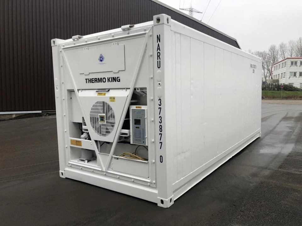 Kontener chłodniczy Thermo King 20 stóp - obrazek 4